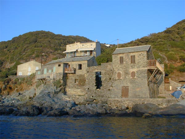 La sauvage marina de Pino