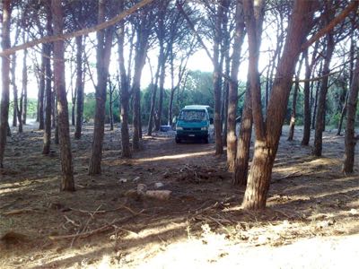 Spot Vignola