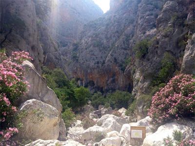 Fond du canyon